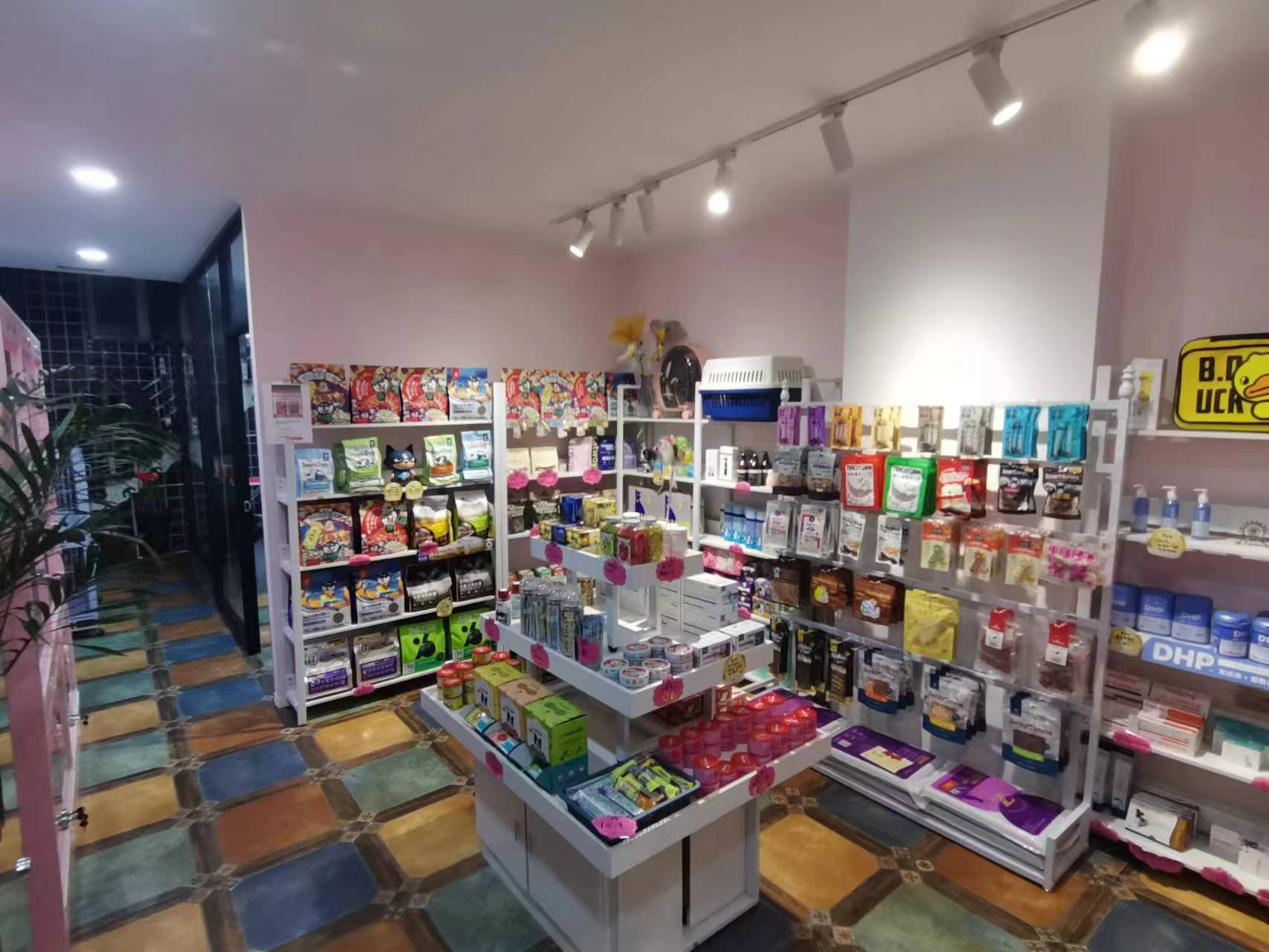 急兑 一匡街宠物店出兑转让