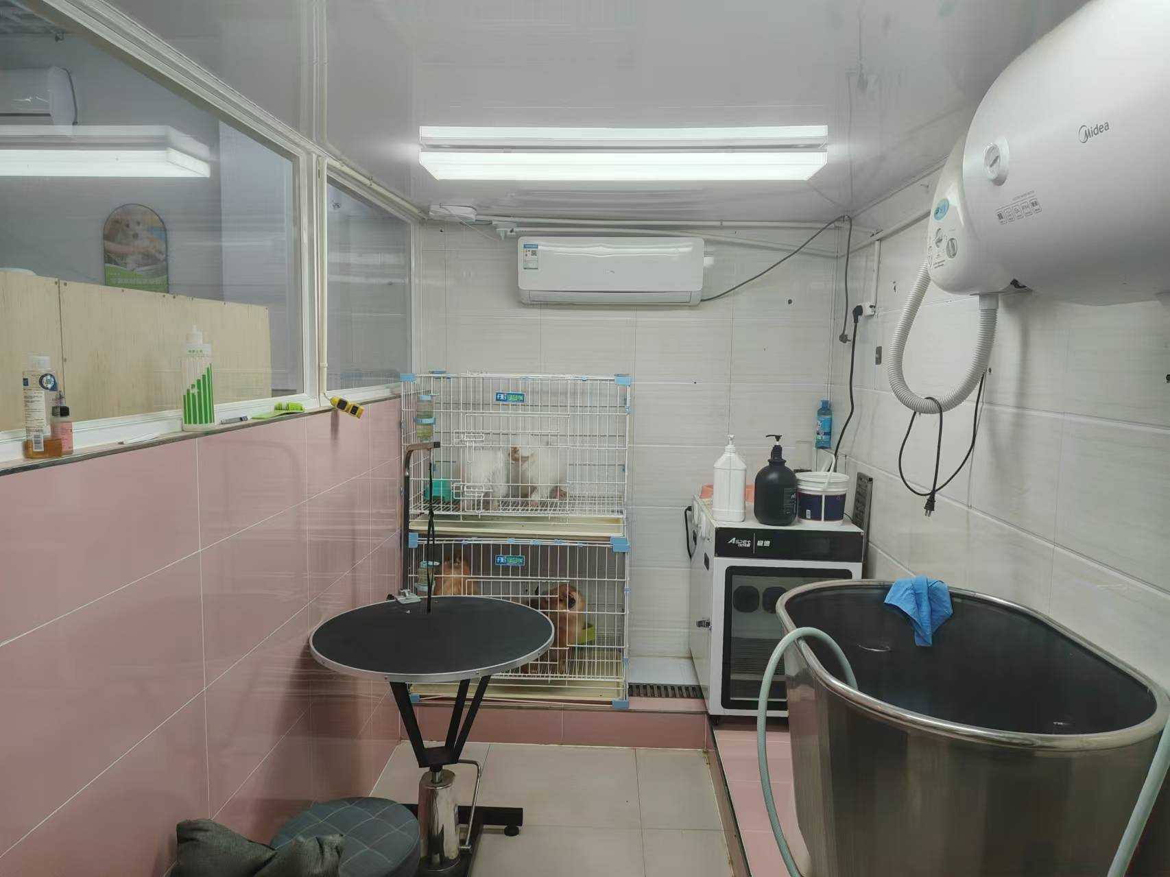 朝阳领袖朝阳B区宠物洗澡美容，寄养，用品店出兑