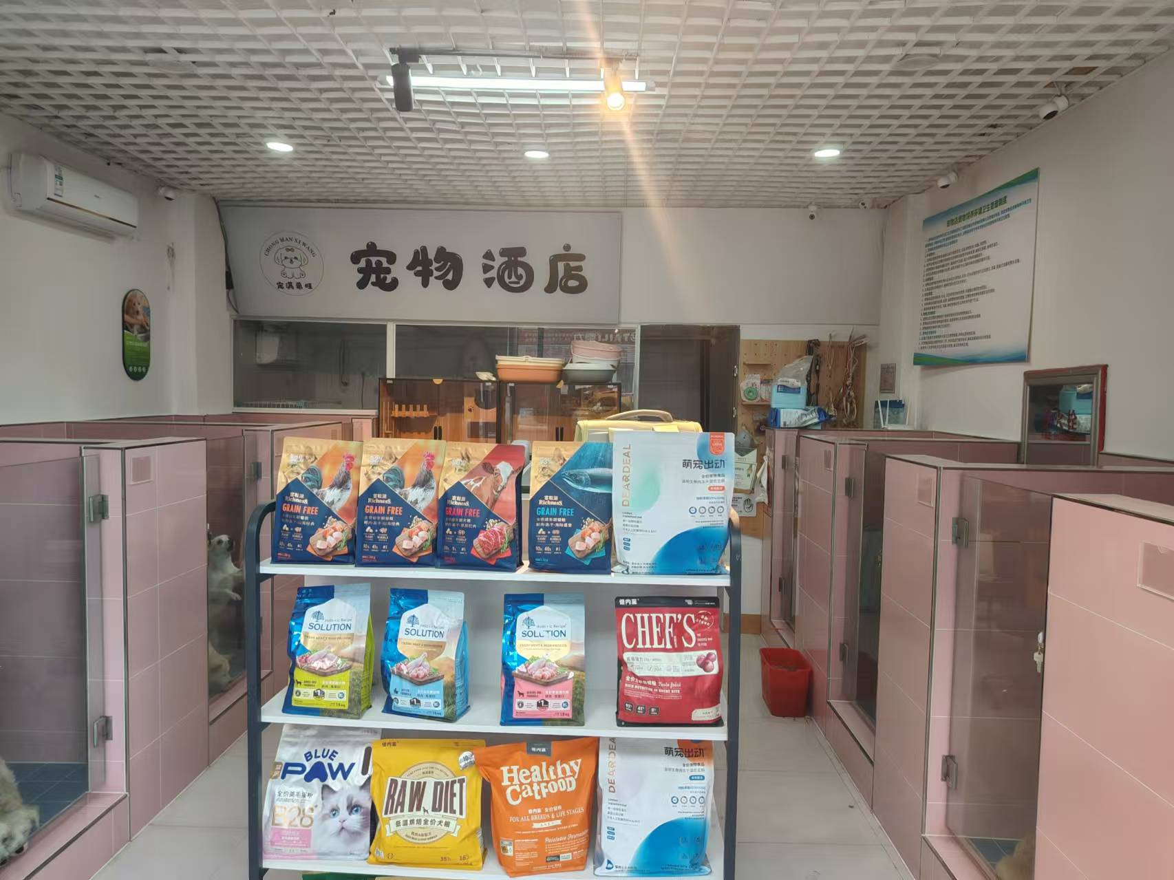 朝阳领袖朝阳B区宠物洗澡美容，寄养，用品店出兑