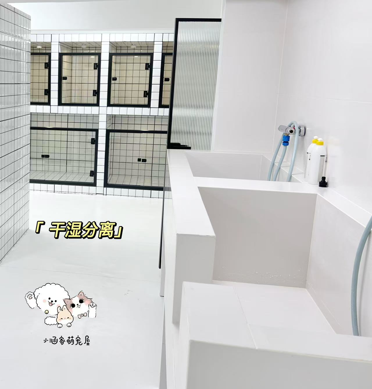 南关区宠物店转让急急急