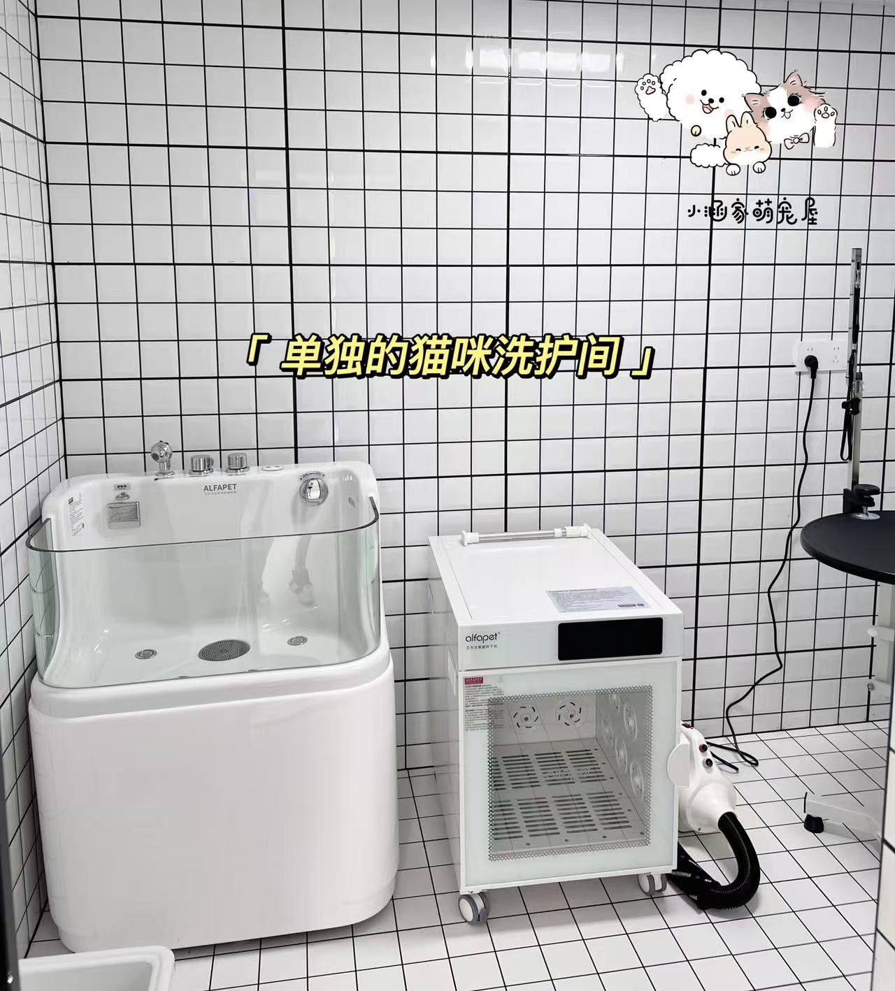 南关区宠物店转让急急急