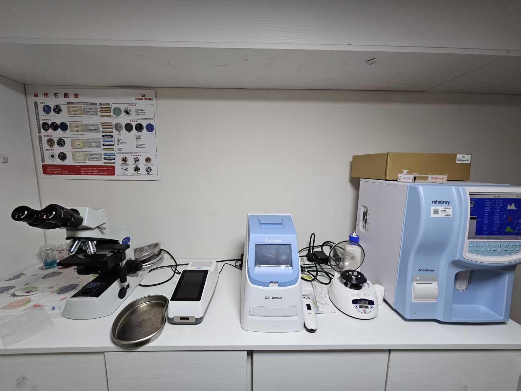 北湾新城小区宠物店出兑转让 宠物店洗洗澡出兑转让证件齐全