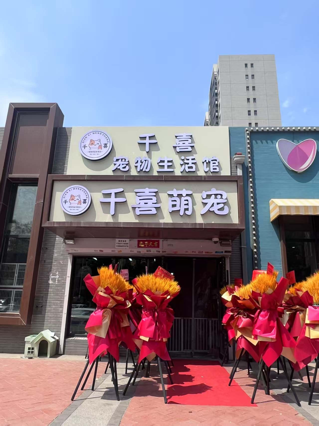 万科蓝山小区宠物店出兑 有稳定客源